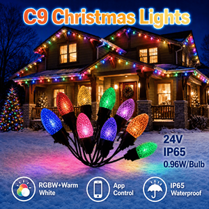 ไฟประดับตกแต่งบ้านภายนอกแบบขายส่ง ไฟ LED C9 24V สำหรับตกแต่งต้นคริสต์มาส ไฟประดับตกแต่งคริสต์มาสแบบกันน้ำ IP65 - Product Image 1