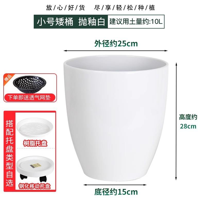 Small size short model polished white