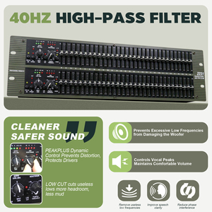 2231 Professional Dual 31 Band <strong>Audio</strong> Equalizer with <strong>NR</strong> &amp; HPF,Rack Mount Sound Tuner for KTV,Home Theater,Small Live Performance - Product Image 4