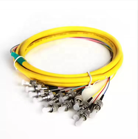 Ftth Solution Fiber Fantastic Fiber Optic Pigtail-12 Core Optical Ribbon Cable, Fc Upc, Sm Mm, Fiber Optic Patch Cord, 1M, 3M,