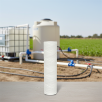 Cartouche filtrante à sédiments à enroulement de fil personnalisée DM, réservoir sous pression PP 1 micron 5 pouces 500L/heure pour le traitement de l'eau d'irrigation