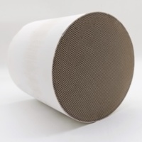 Nouveau filtre à FE-SCR pour pièces automobiles à particules Diesel Actros avec substrats en nid d'abeille en céramique pour moteur de camion General Motors