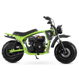 Moto Tao 2025, nouvelle moto à gros pneus, frein à disque avec suspension, mini-moto 196cc - Product Image 2