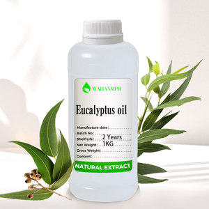 Großhandel Reines Natürliches Frisches Hochwertiges Eukalyptus Globulus Ätherisches Öl Farblos 2 Jahre Haltbarkeit für Alle Hauttypen - Product Image 2