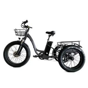 500W 48V Electric Tricycle Bafang Hub Motor 3 Wheel Cycle Pedal Assist Electric Trike Electric Cargo Tricycle Drop Shipping