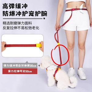 สายจูงสุนัขสีน้ำเงินพร้อมปีกนางฟ้า สำหรับสุนัขขนาดเล็ก กลาง ใหญ่ สายรัดอกแบบสะพายข้างและสายจูง - Product Image 3
