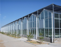 Systèmes de culture hydroponique de tomates, serre multi-spans en verre trempé pour légumes
