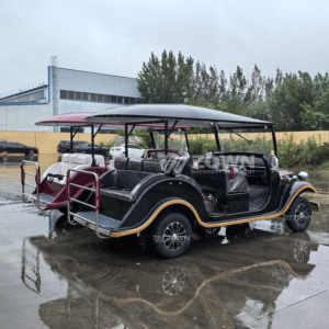 ZOWN Retro Electric Vintage Classic Sightseeing Car <b>6</b> Seats 48V Battery Powered 2-Year Warranty Customized Color Brand New Hotel - Product Image 6