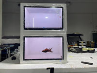 Pantalla Holográfica 3D de 21.5 Pulgadas, LCD Transparente, Exhibición de Joyería, Museo, Video Holobox