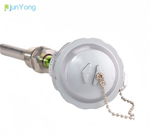 Fábrica Projetada <span class=keywords><strong>Sensor</strong></span> De Temperatura PT100 Termopar RTD Sonda De Aço Inoxidável 201 Transmissor Fio Fixo para Água Óleo - Product Image 5