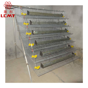 MT Group-nuevo modelo, jaula manual de codorniz tipo A de alta calidad - Product Image 4