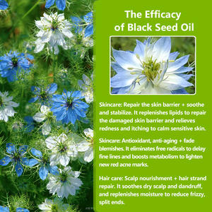Schwarzes Johannis beers amenöl Organische Haut Gesundheit liche Vorteile Flüssiges Schwarzkümmel öl Beeren träger öle für die Aroma therapie - Product Image 5
