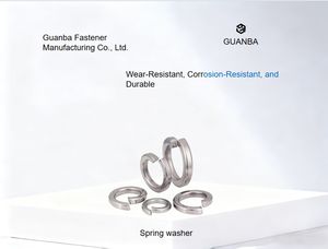 Rondella a molla in acciaio inossidabile - Product Image 3