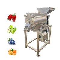 Dzjx Industriële Ontsteniging-En Pulpmachine Fruitpuree Groentepulp Makende Machine Tomatenvruchtenpulp Extractie
