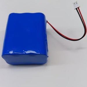Pack de batteries rechargeables personnalisées 18650 2P3S 11.1V 12V 4Ah avec connecteur JST 2 broches XH2.54 - Product Image 6
