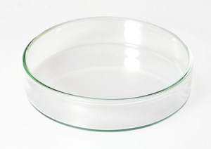 Platos de cultivo bacteriano de vidrio de buena calidad de laboratorio Plato DE CULTIVO DE Petri de vidrio de borosilicato - Product Image 3