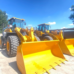 शेडोंग चीन से Sdlg lg956f व्हील प्रकार के फ्रंट लोडर-मल्टीफंक्शनल भारी शुल्क शॉवल्स गियरबॉक्स पंप कोर घटक - Product Image 1