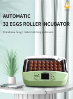 Incubateur automatique solaire HHD pour 32 œufs, chauffage et couveuse au Zimbabwe, prix