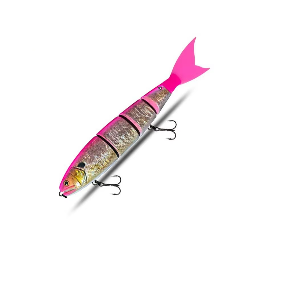 6-pink-backed tilapia