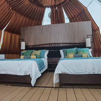 Dôme de glamping en polycarbonate transparent pour l'hiver, conception chinoise, chambre en forme de bulle