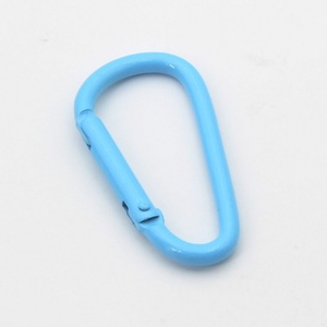 Với Giảm Giá Lớn Đồ Trang Sức Phụ Kiện D Shape Mini Nhôm Carabiner Mini Carabiner D Ring Carabiner Khóa D Ring - Product Image 6