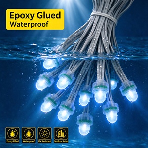 Guirlande lumineuse publicitaire LED en cristal pour jardin avec lumières étanches WS1916 5V/12V pour décorations de fêtes - Product Image 3