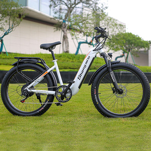Bicicletta Elettrica per Adulti da 26 Pollici, E-Bike con Batteria al Litio a Lunga Autonomia per Trasporto Urbano e Ciclismo Ricreativo - Product Image 3
