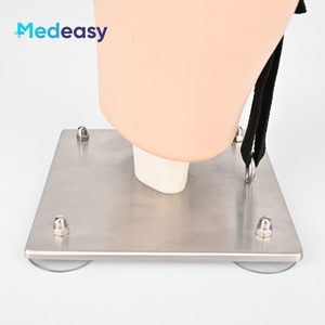 Entrenador de simulación de Cirugía artroscópica de rodilla, modelo de rodilla Simulador de artroscopia - Product Image 3