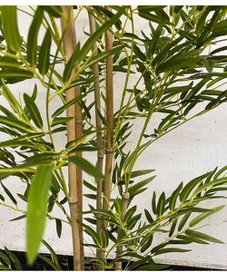 Bonsái Artificial <span class=keywords><strong>de</strong></span> <span class=keywords><strong>Bambú</strong></span> Ecológico y Duradero en Maceta <span class=keywords><strong>de</strong></span> Plástico para Decoración <span class=keywords><strong>de</strong></span> Interiores - Product Image 2