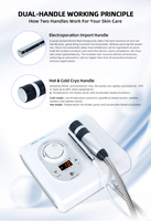 Appareil de cryothérapie portable en ABS, cryo-électroporation, mésothérapie sans aiguille, machine pour la peau, EMS anti-âge, radiofréquence, soin du visage, beauté