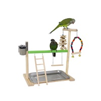 Support de jeu pour perroquet de table en bois, parcours d'activités pour oiseaux avec perchoir, échelle, balançoire, jouets et plateau-bol en acier inoxydable pour Conure, Cockatiel, Parakeet