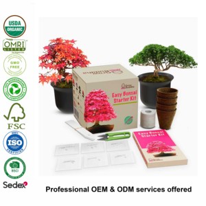 Kit de Inicio para Cultivo de Bonsái en Interiores, Jardinera para Principiantes con Caja de Regalo para el Crecimiento, Ideal para Cumpleaños Infantiles - Product Image 3