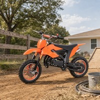 Moto tout-terrain pour enfants 49cc, 2 temps, refroidissement par air, roues en alliage, frein à disque avant et arrière, démarrage par lanceur, pour la conduite hors route