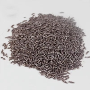 Şirataki Siyah Konjac Pirinci Şekersiz Glutensiz Anında Pişen Düşük Kalorili Yüksek Lifli Keto Dostu Diyabetik Sağlıklı Yiyecek - Product Image 2