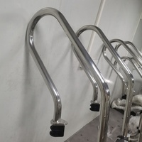 Marches d'échelle de piscine d'acier inoxydable avec des pare-chocs échelles résistantes de piscine de remplacement pour des piscines creusées