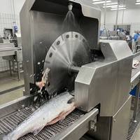 Lame de rechange semi-automatique pour trancheuse à poisson circulaire, polie miroir Ra < 0,2 µm, en acier inoxydable alimentaire, anti-colmatage, industrielle
