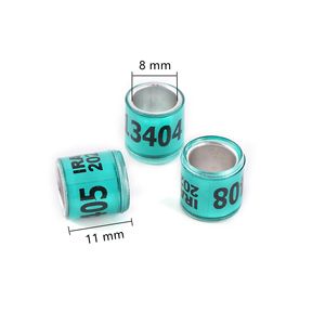 Bijoux de pied de Pigeon en argent <span class=keywords><strong>2022</strong></span>, boucles d'oreilles avec mot, anneau de course Durable de qualité, outil d'entraînement pour les oiseaux - Product Image 2