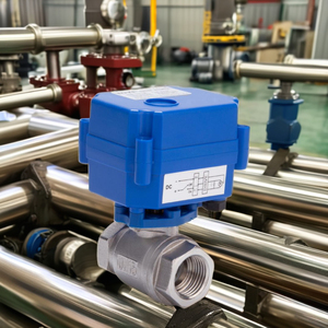 Vanne à boisseau sphérique motorisée en acier inoxydable 1/2 po DC12V 24V à 2 fils pour basses températures, ODM OEM, traitement de l'eau C-Way - Product Image 1