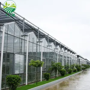 The Cheapest Hot Sale Green House Greenhouse Agricultural/Commercial Glass Greenhouse