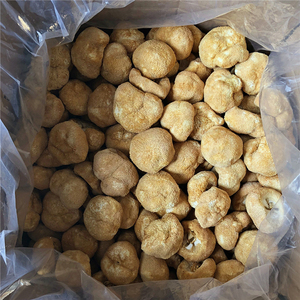Jamur Surai Singa Deshidratado Champignon Utuh <span class=keywords><strong>Hericium</strong></span> <span class=keywords><strong>Erinaceus</strong></span> - Product Image 5