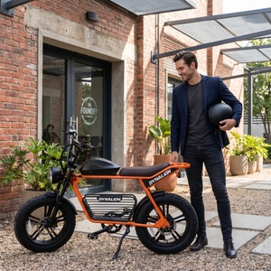 Vélo électrique à pneus larges écologique avec assistance au pédalage fiable, vélo à roulement fluide pour les visites guidées dans les jardins botaniques - Product Image 6