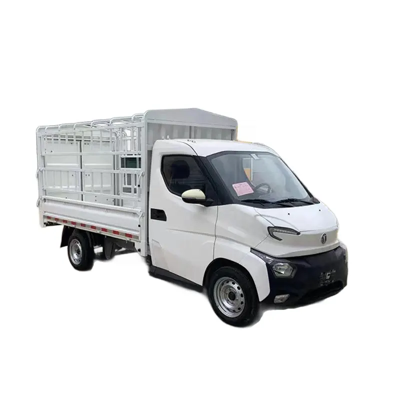 Feidi Q2T Chinese Ev Vans Cheap Electric Mini Cargo Truck Light Ev Truck