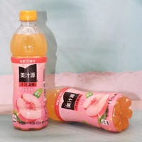 Meilleur Prix Jus de Fruits de Qualité Supérieure 450ml, Boisson Panachée aux Fruits & Breuvage