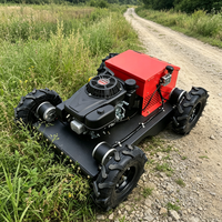 Theeplantage Afstandsbedienbare Maaimachine 550mm Nauwe Rupsbanden Hakselaar Grasmaaier Heuvelachtige Rijen CE EPA ISO9001 OEM