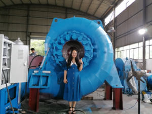 800kw 수력 발전소 발전기 제품 유형 수력 발전기(수력 터빈 러너 포함) - Product Image 3