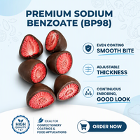 Machine d'enrobage de chocolat entièrement automatique à haute efficacité certifiée CE pour l'usine de collations aux fraises lyophilisées