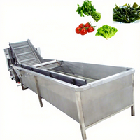Goedkoopste groente- en fruitwasmachine industriële wortelwasmachine erwtenwasmachine
