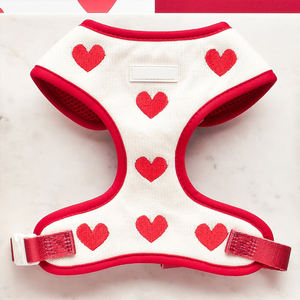 Grosir rompi harnes anjing Set Mode mewah kuat karet dada kucing jejak hewan peliharaan <span class=keywords><strong>Harness</strong></span> wol - Product Image 5