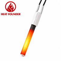 Allumeur de granulés céramiques HeatFounder HF1302A01-B 230V 300W pour barbecue, poêle, chaudière à granulés, énergie hydrogène
