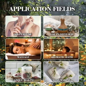 Hữu cơ húng quế ngọt tinh dầu từ Trung Quốc-100% tinh khiết tự nhiên <span class=keywords><strong>Ocimum</strong></span> <span class=keywords><strong>Basilicum</strong></span> nhà máy chiết xuất | Giá bán buôn, số lượng lớn 1kg - Product Image 4